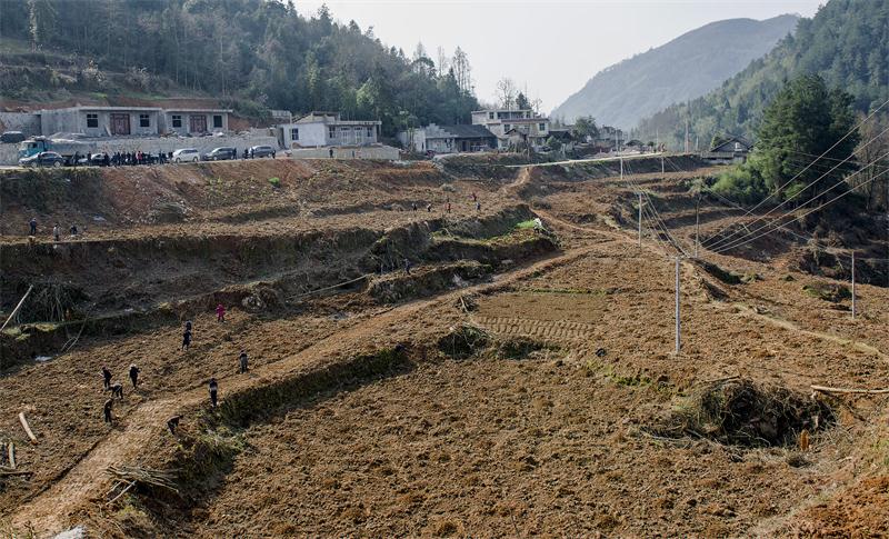 Z6¡¤×ðÁú¿Ê±¡¸Öйú¡¹¹Ù·½ÍøÕ¾