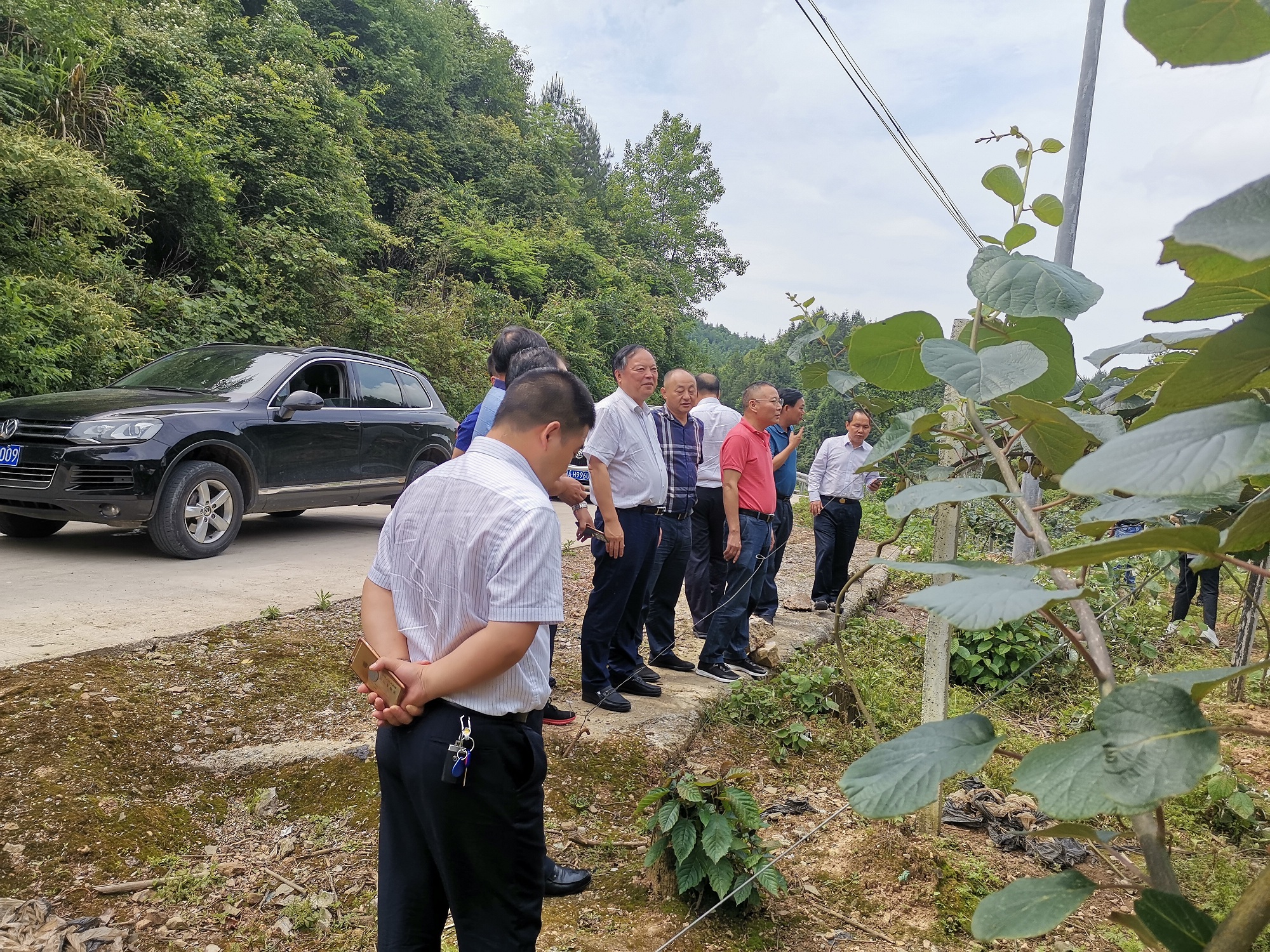 20200619115333.jpg 微信图片_20200616221738.jpg