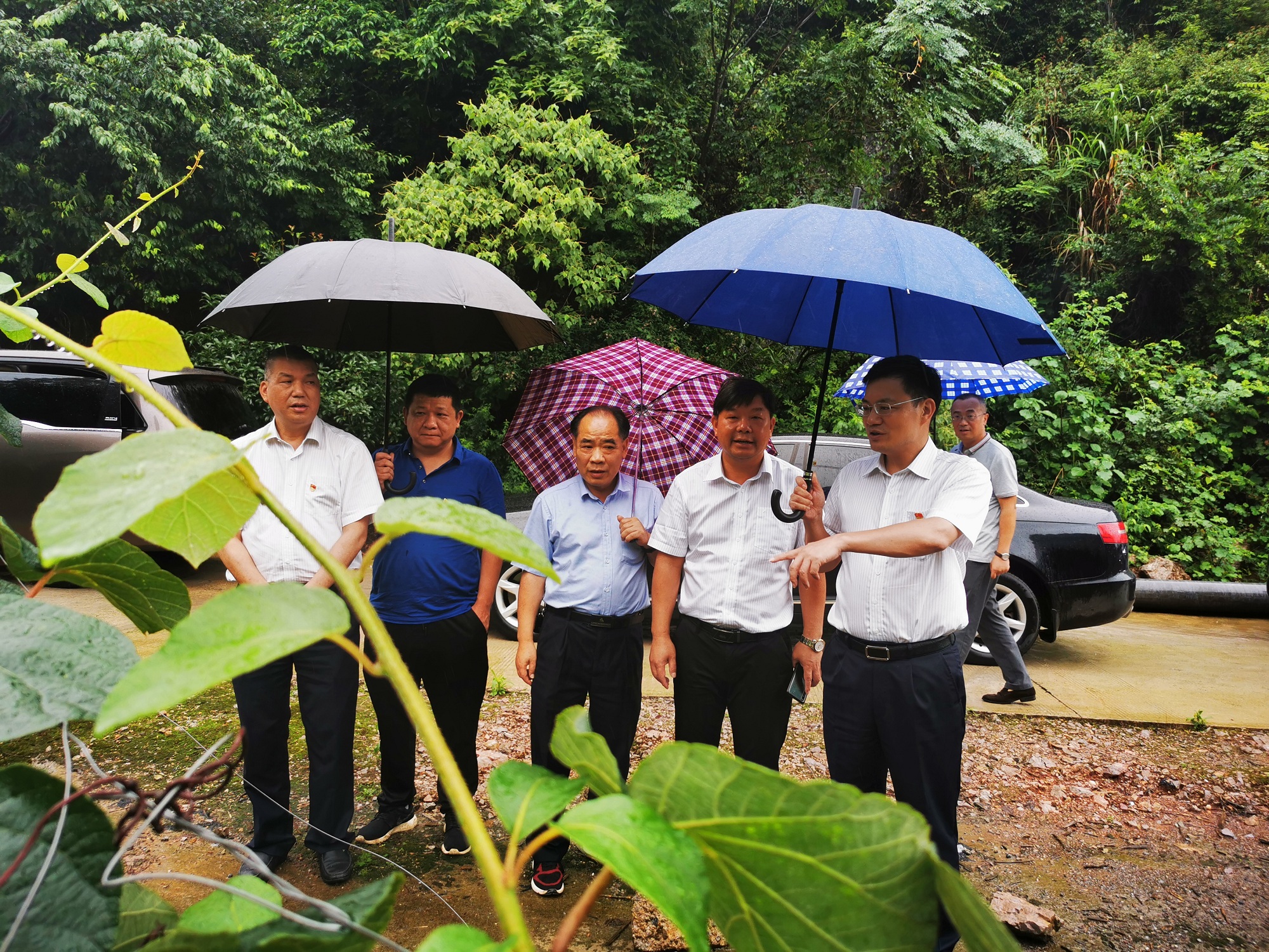 20200619154957.jpg 微信图片_20200616221655.jpg