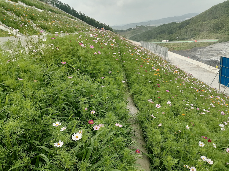 20221008265204.jpg 20221008_093115_011.jpg