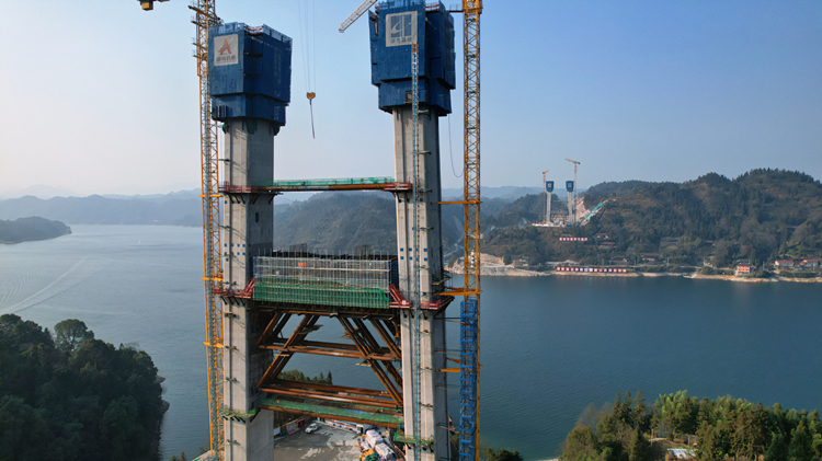 20240126452479.jpg 图:王权殷 (2)_副本.jpg