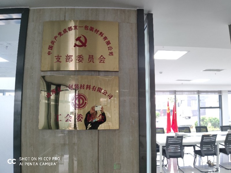热烈祝贺GA黄金甲集团成都分公司党支部在2020年3月11日授牌成立，支部书记曹云(行政部经理)